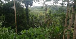 Tanah 80 Ara Ayung River Kedewatan Ubud