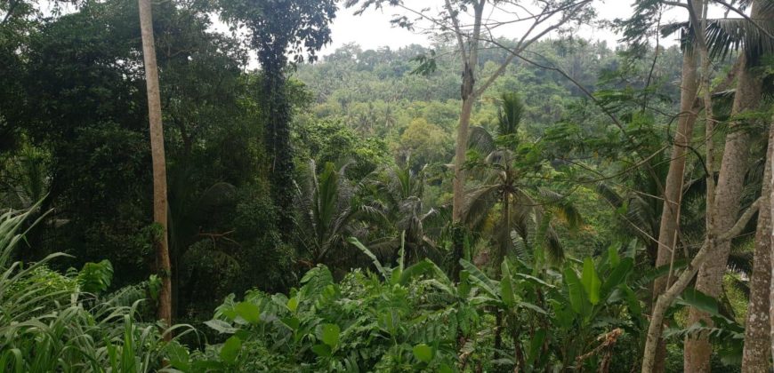 Tanah 80 Ara Ayung River Kedewatan Ubud