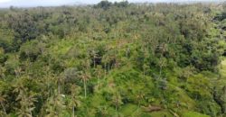 Tanah 5 Hectare View Cantik di Tegallalang Ubud