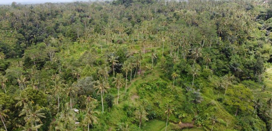 Tanah 5 Hectare View Cantik di Tegallalang Ubud