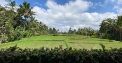 Villa Beautiful View Tegalalang Ubud