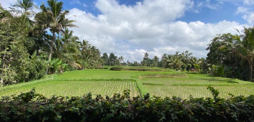 Villa Beautiful View Tegalalang Ubud