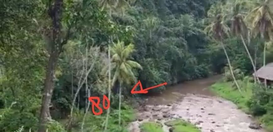 Tanah 80 Ara Ayung River Kedewatan Ubud