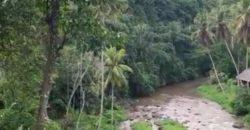 Tanah 80 Ara Ayung River Kedewatan Ubud