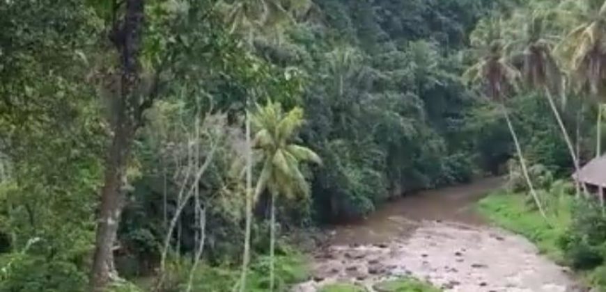 Tanah 80 Ara Ayung River Kedewatan Ubud