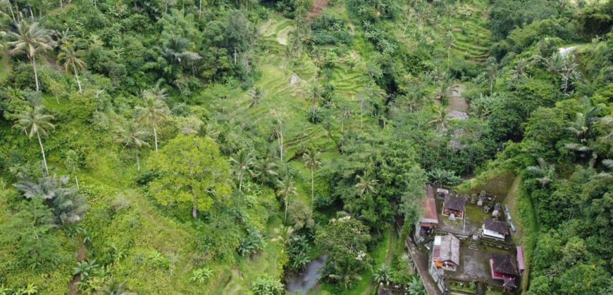 Tanah 5 Hectare View Cantik di Tegallalang Ubud