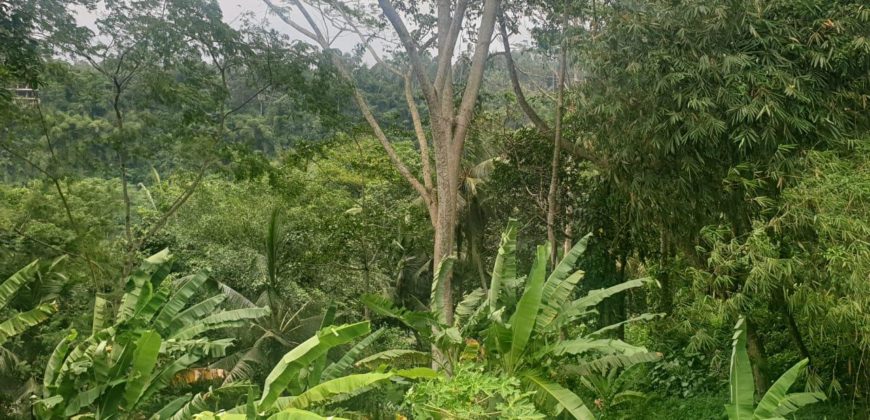 Tanah 80 Ara Ayung River Kedewatan Ubud