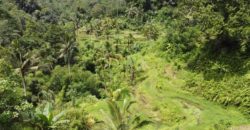 Tanah 5 Hectare View Cantik di Tegallalang Ubud