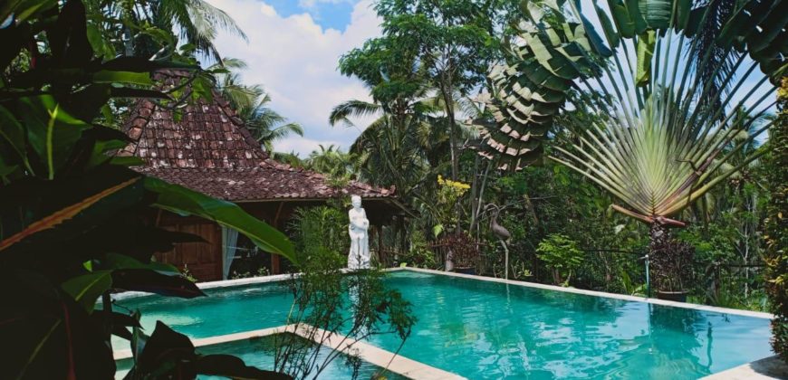 Villa View Sawah Tegalalang Ubud