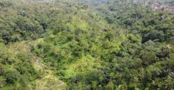 Tanah 5 Hectare View Cantik di Tegallalang Ubud