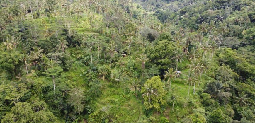 Tanah 5 Hectare View Cantik di Tegallalang Ubud