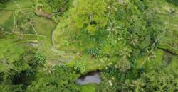 Tanah 5 Hectare View Cantik di Tegallalang Ubud