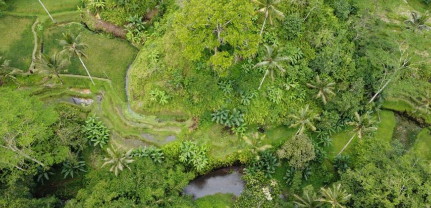 Tanah 5 Hectare View Cantik di Tegallalang Ubud