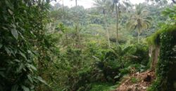 Tanah 80 Ara Ayung River Kedewatan Ubud