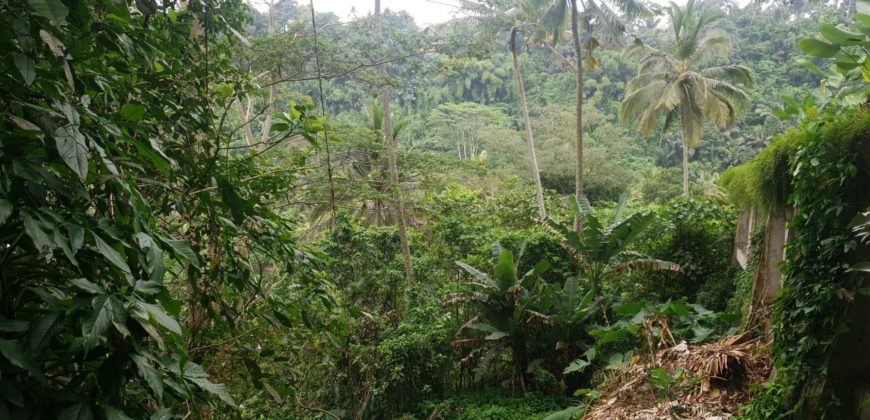 Tanah 80 Ara Ayung River Kedewatan Ubud