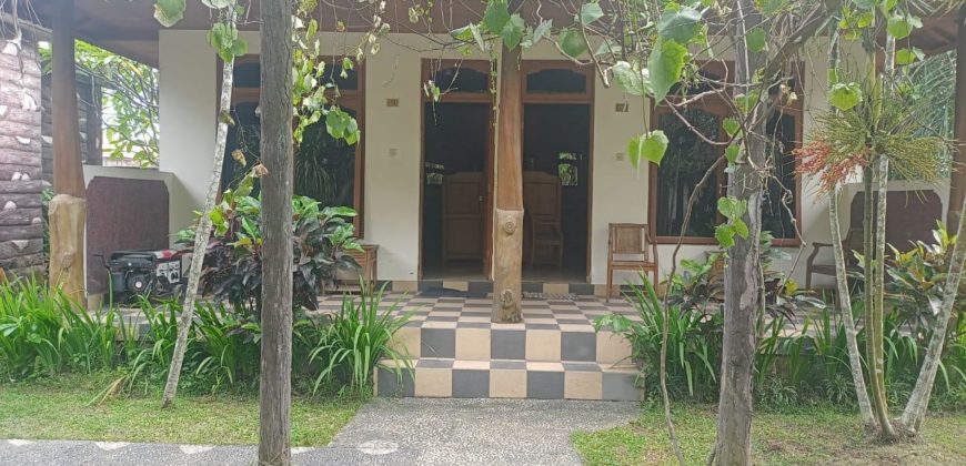 Villa Near Bali Zoo Gianyar