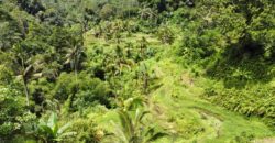 Tanah 5 Hectare View Cantik di Tegallalang Ubud