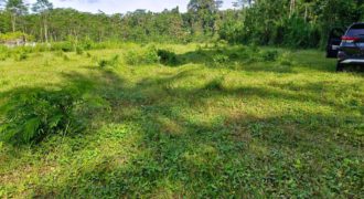 Tanah 1,5 Hectare Tampak Siring Ubud