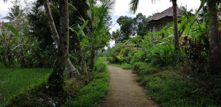 Tanah 12 Ara View Ricefield Payangan Ubud