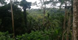 Tanah 80 Ara Ayung River Kedewatan Ubud