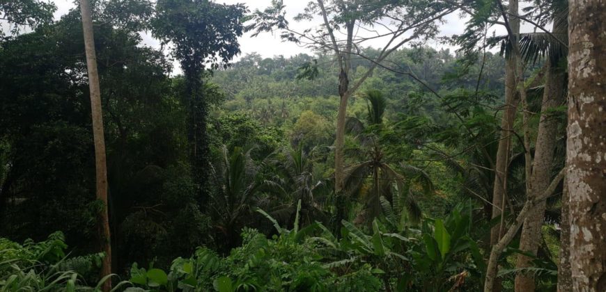 Tanah 80 Ara Ayung River Kedewatan Ubud