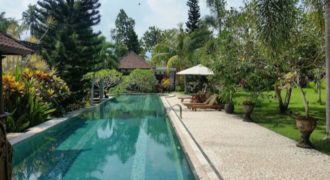 Villa Classic View Ricefield and River Side Singapadu Ubud