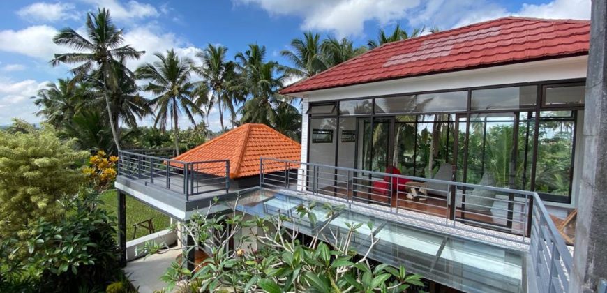 Villa Beautiful View Tegalalang Ubud