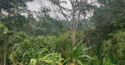 Tanah 80 Ara Ayung River Kedewatan Ubud