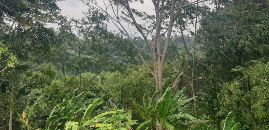 Tanah 80 Ara Ayung River Kedewatan Ubud