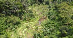 Tanah 5 Hectare View Cantik di Tegallalang Ubud