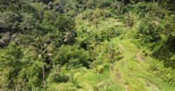 Tanah 5 Hectare View Cantik di Tegallalang Ubud