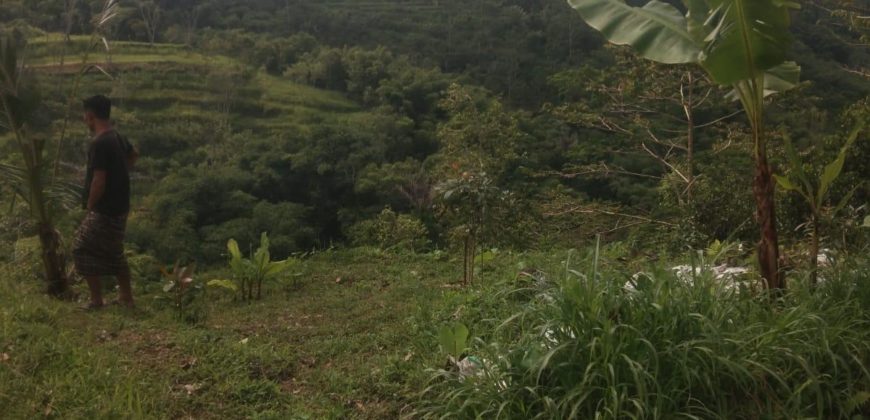 Tanah 20 Ara View Valey and Mount at Sebatu Ubud