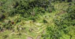 Tanah 5 Hectare View Cantik di Tegallalang Ubud