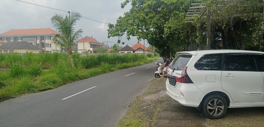 Villa Near Bali Zoo Gianyar