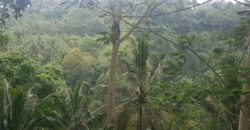 Tanah 80 Ara Ayung River Kedewatan Ubud