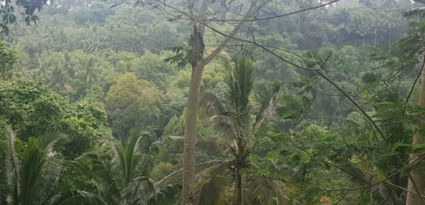 Tanah 80 Ara Ayung River Kedewatan Ubud