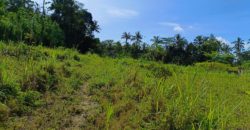 Tanah 1,5 Hectare Tampak Siring Ubud