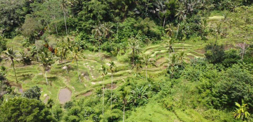 Tanah 5 Hectare View Cantik di Tegallalang Ubud