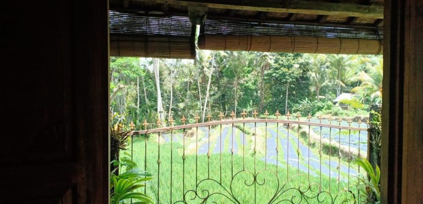 Villa View Sawah Tegalalang Ubud