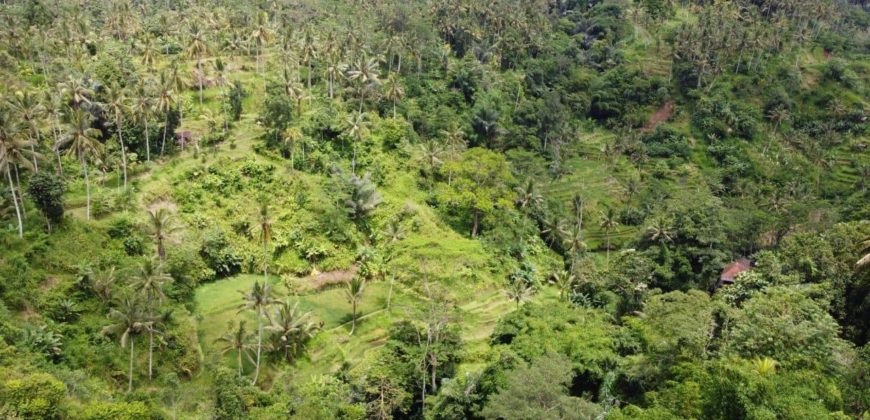 Tanah 5 Hectare View Cantik di Tegallalang Ubud