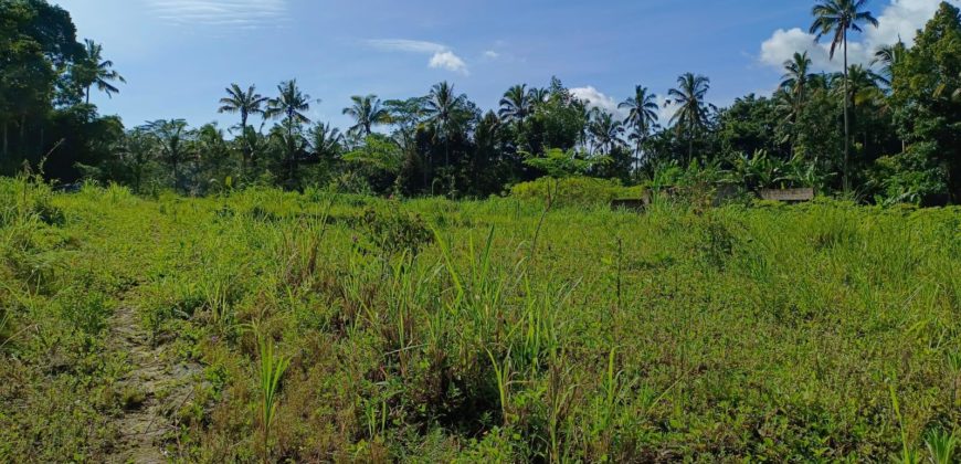 Tanah 1,5 Hectare Tampak Siring Ubud