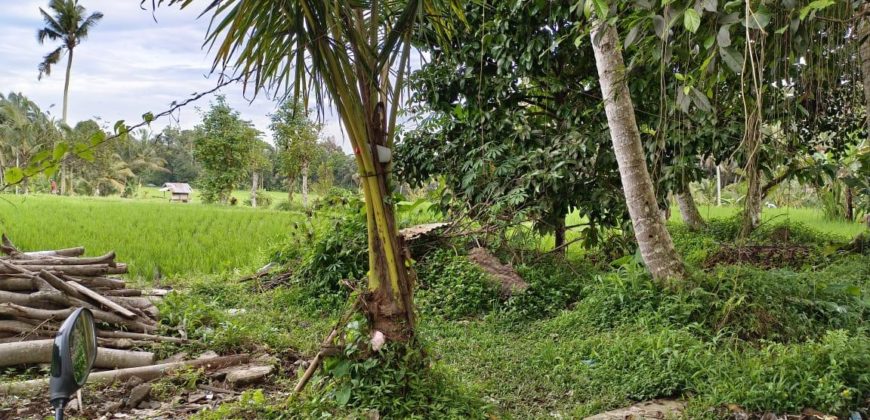 Tanah 12 Ara View Ricefield Payangan Ubud