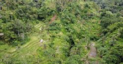 Tanah 5 Hectare View Cantik di Tegallalang Ubud