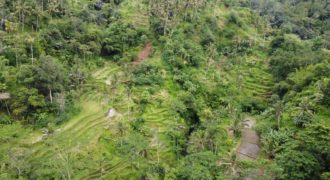 Tanah 5 Hectare View Cantik di Tegallalang Ubud