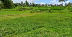 Tanah 3 Hectare View River and Ricefield Near Capela Ubud