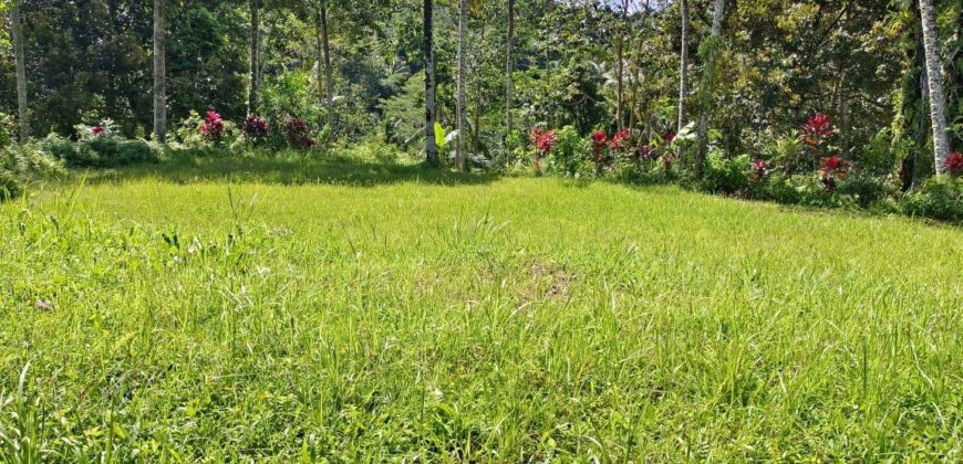 Tanah 54 Ara Near Aksari Resort View Jungle and Ricefield Tegalalang Ubud