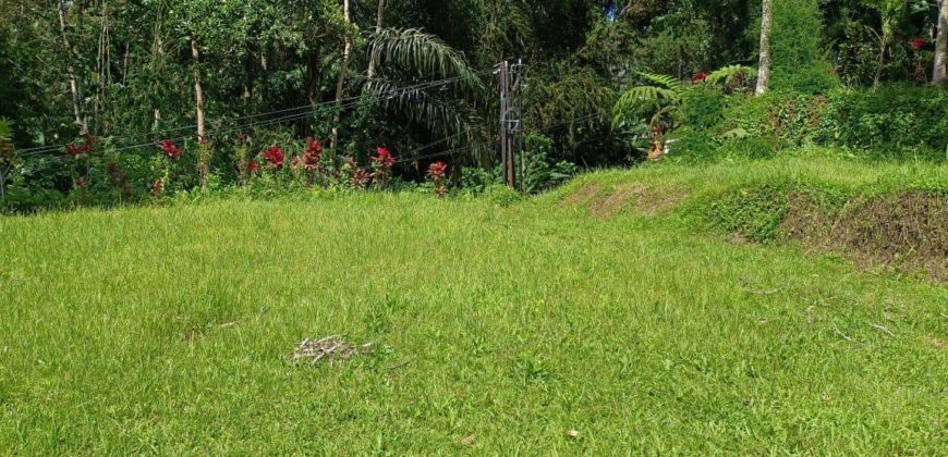 Tanah 54 Ara Near Aksari Resort View Jungle and Ricefield Tegalalang Ubud