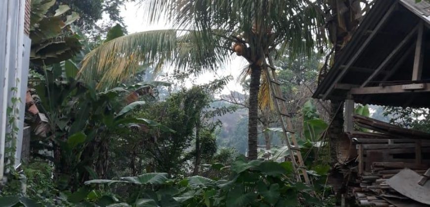 Tanah 40 Ara View Campuhan River Ubud