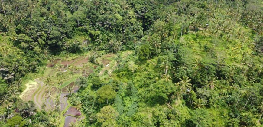 Tanah 5 Hectare View Cantik di Tegallalang Ubud