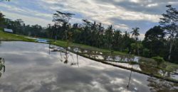 Tanah 15 Are View Ricefield Payangan Ubud